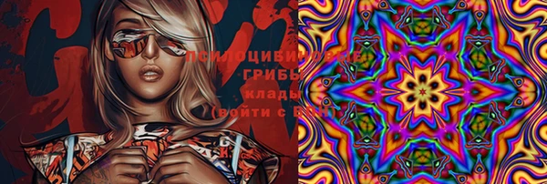 сатива Алзамай