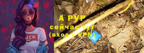 apvp Алексин
