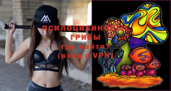 сатива Алзамай