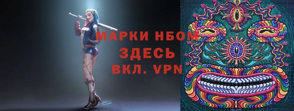 твердый Новозыбков