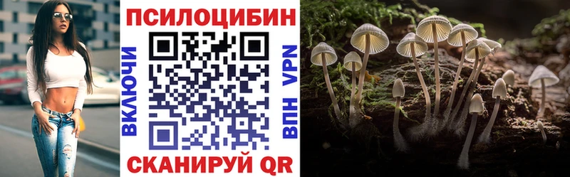 Псилоцибиновые грибы MAGIC MUSHROOMS  гидра ONION  Шацк 