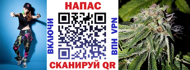 как найти закладки  Шацк  Канабис гибрид 